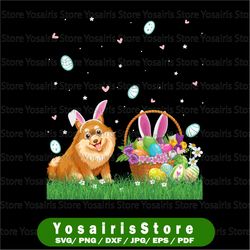 Happy Easter Cute Bunny Pomeranian Dog Wearing Bunny Ears Png, Easter Sublimation Design Download, Pomeranian png Dog