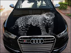 vinyl car hood wrap full color graphics decal jaguar sticker