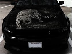 Vinyl Car Hood Wrap Full Color Graphics Decal Leopard Sticker