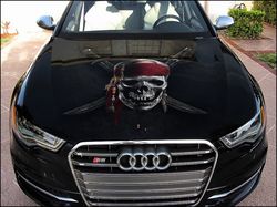 Vinyl Car Hood Wrap Full Color Graphics Decal Pirate Sticker 3