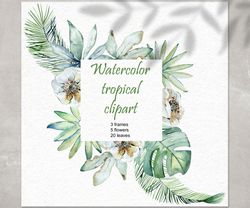 Watercolor Tropical Clipart, frames, leaves png.
