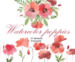 Watercolor poppy clipart, red flowers, png.