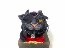 Pirate cat gift for black cat lovers, pirate themed gifts