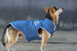 corduroy dog jackets