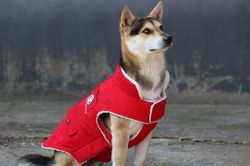 Corduroy Winter Dog Jacket