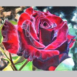 Original handmade oil painting Rose burgundy Floral art Wall Art  Painting Living room interior For flower enthusiasts