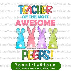 Easter PNG, Teacher of the Most Awesome Peeps PNG, Easter Teacher PNG, peeps PNG, funny Easter PNG, Teacher PNG