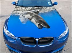 Vinyl Car Hood Wrap Full Color Graphics Decal Shark Sticker
