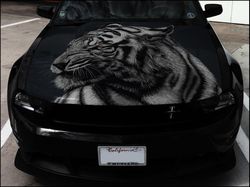 Vinyl Car Hood Wrap Full Color Graphics Decal White Tiger Sticker 2