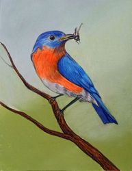 Colourful bird Illustration, Original Bird drawing, Bird wall art, bird lovers, Small bird hand painted, Bird painting