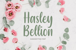 Hasley Bellion Trending Fonts - Digital Font