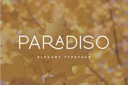 Paradiso Typeface Trending Fonts - Digital Font