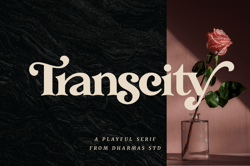 Transcity – A Playful Serif Trending Fonts - Digital Font