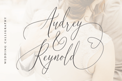 Audrey & Reynold – Luxury Script Trending Fonts - Digital Font