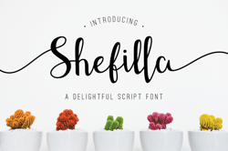 Shefilla – Script Font Trending Fonts - Digital Font