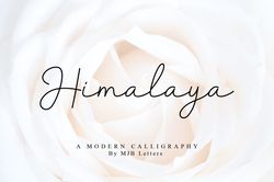 Himalaya Modern Calligraphy Trending Fonts - Digital Font