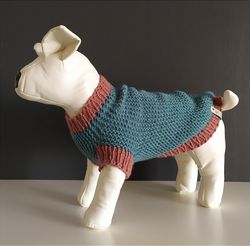 Warm knitted sweater for small dogs