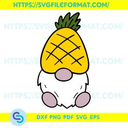 Gnome Vector Pineapple SVG Files For Cricut Designs
