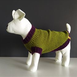 Bright knitted sweater for small dogs