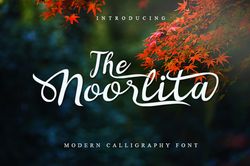 Noorlita Trending Fonts - Digital Font
