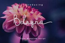 Belryna Trending Fonts - Digital Font