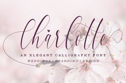 Charlotte Calligraphy Trending Fonts - Digital Font