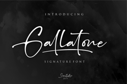 Trending Fonts - Digital FontGallatone // Signature Font & Extra