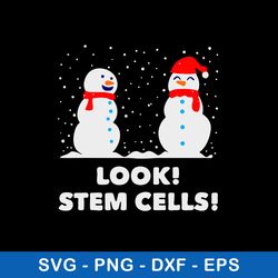 Science Xmas Look Stem Cells Svg, Snowman Christmas Svg, Png Dxf Eps File