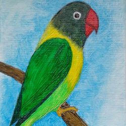 Parrot Oil painting on cardboard