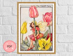 The Tulip Fairy Cross Stitch Pattern ,Pdf Instant Download,Cicely Mary Barker, Flower Fairy,Full Coverage