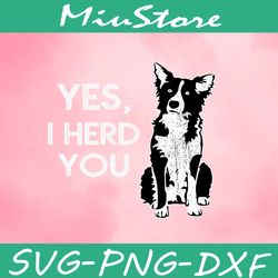 Border Collie Svg, Yes I Herd You Svg,png,dxf,cricut