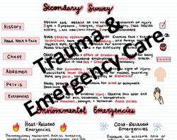 Trauma and Emergency Care  2024 | PDF File | Pages 3