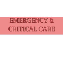 Trauma & Emergency Care and Critical Care Nursing Basics 2024 | Nursing Bundle | PDF File | Pages 12