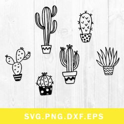 Bundle Cactus Svg, Cactus Svg, Succulent  Svg, Png Dxf Eps File