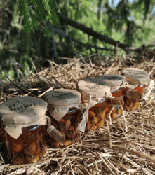 Pine cones in sugar syrup. Volume: 250 ml