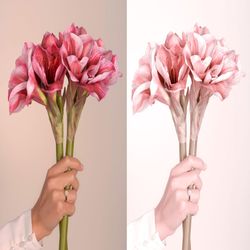 Blush Lightroom Presets | Pink Mobile & Desktop Presets