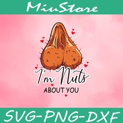 I'm Nuts About You SVG, Funny Valentne's Day SVG,png,dxf,cricut