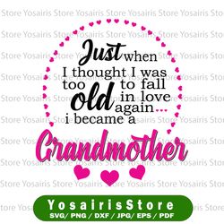 Just When I Thought I Was Too Old To Fall In Love Again I Became A Grandmother Svg Dxf Eps Png Silhouette Cricut Cut