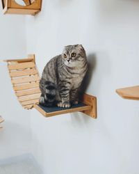 Cat Bridge, Cat Wall Furniture, Wall Cat Ladder, Gifts for Cat Owners, Cat Hammock, Cat Climbing Wall. Kitten Bridge