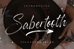 Sabertooth Signature Brush Trending Fonts - Digital Font