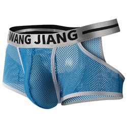 2PK Wangjiang Men's sexy underwear mesh holes pouch separator cut-out boxer briefs underpants 5022PJ