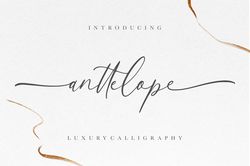 Anttelope Luxury Calligraphy Trending Fonts - Digital Font