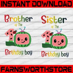 Cocomelon Brother and Sister Of Birthday Boy svg, Coco Melon svg, Cocomelon Bundle svg, Cocomelon Birthday svg
