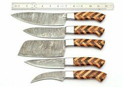5 Pcs Handmade Handforged Chef Knife Set Damascus Steel Kitchen Knives Set, Handforged Knife, Chef Knife, Custom Knife