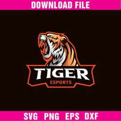 Tiger E-Sport, Tiger Mascot, Tiger Logo, Esport Logo, Gaming Logo, Sports  Logo, Fashion Brand Png - Download File