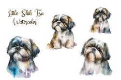 04 Files Of Little Shih Tzu Watercolor, Animal Png, Animal Lover Png