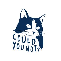 Could You Not Cat Svg, Trending Svg, Cat Svg, Animal Svg, Cat Gift Svg, Cute Cat Svg, Funny Cat Svg, Cat Lovers Svg, Fun