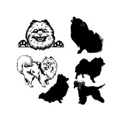 Silhouette Sitting Pomeranian Dog Svg, Trending Svg, Animal Svg, Pet Svg, Pomeranian Dog Svg, Dog Svg, Pomeranian Dog Gi