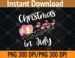 Christmas In July Flamingo Pink Funny Camping Camper PNG, Digital Download