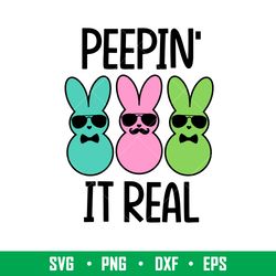 Peepin It Real, Peepin It Real Svg, Happy Easter Svg, Easter egg Svg, Spring Svg, png,dxf,eps file